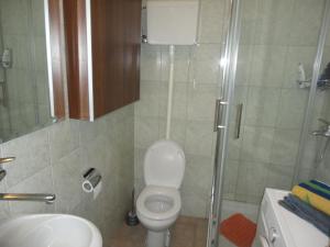 贝尔格莱德Autokomanda的带淋浴、卫生间和盥洗盆的浴室