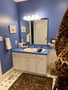 印第安纳波利斯奈斯特尔住宿加早餐旅馆的蓝色的浴室设有水槽和镜子