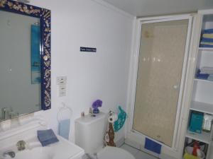 拉塞尔Aimeo Cottage的浴室配有卫生间、盥洗盆和淋浴。