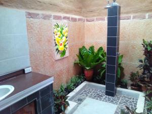Ban Khon萨拉多恩科恩酒店的浴室配有水槽和植物淋浴