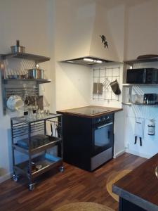 瑟德港Gårdshuset的厨房配有黑炉和台面