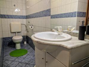 克拉尼斯卡戈拉Apartma Kramar Podkoren的一间带水槽和卫生间的浴室