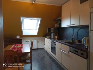 佩格尼茨Günther´s Ferienwohnung的一个带桌子和窗户的小厨房