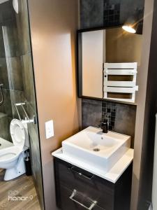雷恩Appartement Le 146 Bis, avec Parking的一间带水槽、卫生间和镜子的浴室