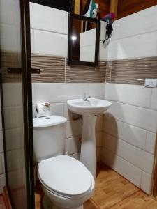 福尔图纳Cabaña Rural Ave del Paraíso的一间带卫生间和水槽的浴室