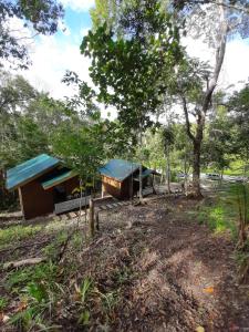 Batuanhome stay rizalina的森林中一座蓝色屋顶的小建筑