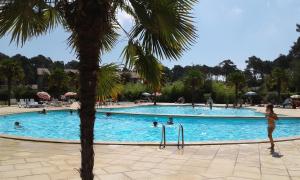 翁德尔T2 Turquoise Ondres plage avec piscine et tennis的游泳池前的棕榈树