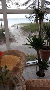 蒂索Dünenhaus Seensucht的配有椅子并享有海滩景致的客房