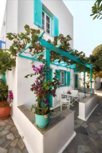 帕罗奇亚爱琴海村酒店的蓝色门和鲜花的房子