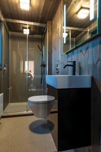 霍尔斯沃德吕尔Seljalandsfoss Horizons的浴室配有卫生间、盥洗盆和淋浴。