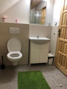 派克波特斯耐兹库Apartmán U Setra的浴室配有白色卫生间和盥洗盆。