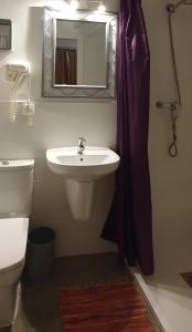 阿利坎特巴里奥布提克旅舍的一间带水槽、卫生间和镜子的浴室