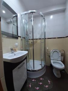 扎科帕内APARTAMENT CIEŃ GIEWONTU的带淋浴、盥洗盆和卫生间的浴室