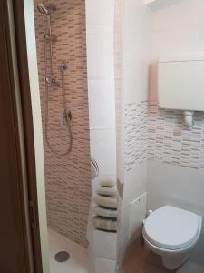 Quinto VicentinoB&B Kristina的浴室配有白色卫生间和淋浴。