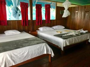 ParaísoYaku Amazon Lodge & Expeditions的相册照片