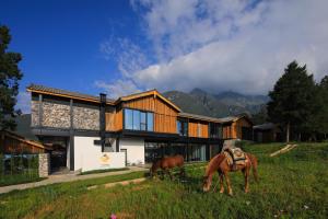 丽江丽江石洛克精品酒店的两匹马在房子前面的草地上放牧