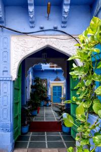 焦特布尔Heritage Gouri Haveli的种植盆栽的蓝色建筑的入口