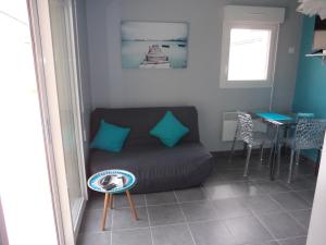 塔尔诺斯T2 Tarnos avec piscine的客厅配有沙发和桌子