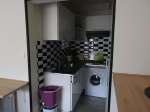 里摩日Studio très confortable的一个带水槽和洗衣机的小厨房
