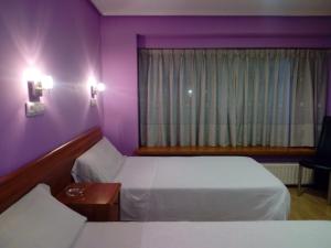 奥维多阿尔瓦雷斯旅舍的紫色的客房设有两张床和一扇窗户。