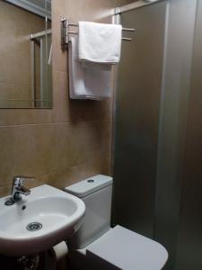 奥维多阿尔瓦雷斯旅舍的浴室配有卫生间、盥洗盆和淋浴。