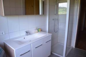 Oberhofen am Irrsee米特鲍尔度假屋的白色的浴室设有水槽和淋浴。
