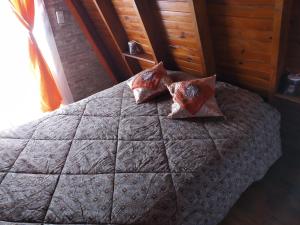 比亚莱特马西Cabañas Alpinas Terra Natura的床上有2个枕头