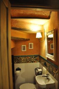 马德里加尔德拉韦拉Casa rural La Piedrapipa的一间带水槽、卫生间和镜子的浴室