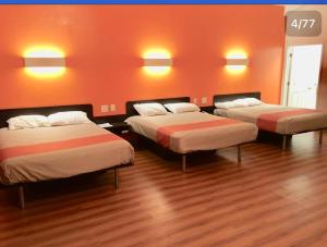 格洛布Motel 6-Globe, AZ的橙色墙壁的客房内的三张床