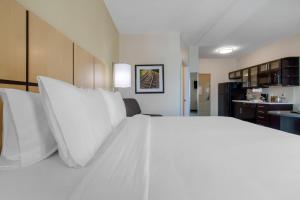 Candlewood Suites - San Antonio Lackland AFB Area, an IHG Hotel客房内的一张或多张床位