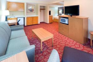 罗斯堡罗斯堡快捷假日酒店的一间配备有沙发及电视的酒店客房