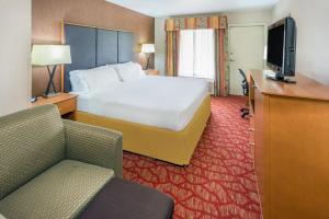 罗斯堡罗斯堡快捷假日酒店的一间酒店客房,配有一张床和一台电视