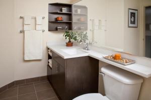 圣安东尼奥圣安东尼奥机场烛木套房酒店的一间带水槽、卫生间和镜子的浴室