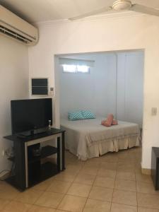 波萨达斯Alojamiento Alelí的客房设有1张床、1台电视和1张桌子。