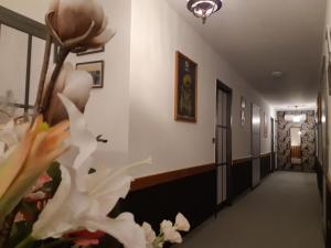 福梅尔Le 72 Watt的白色花的建筑走廊