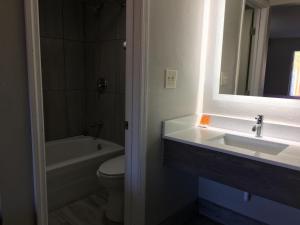 查尔斯顿查尔斯顿戴斯酒店 - 机场体育馆的一间带水槽、卫生间和镜子的浴室