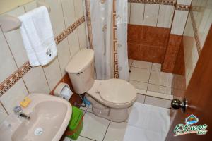 普诺Olimpo Inn的浴室配有卫生间、盥洗盆和淋浴。