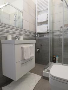 阿萨哥Assago Forum Apartment的一间带水槽、卫生间和淋浴的浴室