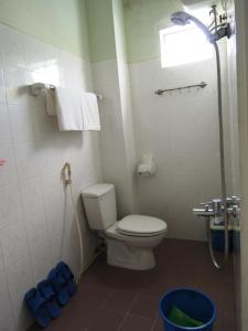 芽庄黑恩罗欧诺酒店 的一间带卫生间和淋浴的小浴室