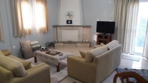 迈索隆吉翁Family apartments的带沙发、壁炉和电视的客厅