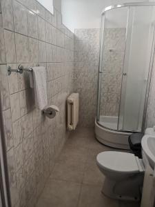 什切青爱卡森酒店的带淋浴、卫生间和盥洗盆的浴室