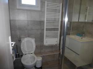 勒索兹RÉSIDENCE DES NEIGES 2052的一间带卫生间、水槽和窗户的浴室