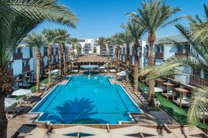 埃拉特G hotel的棕榈树度假村泳池的空中景致