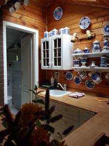 帕克Domek Letniskowy na Kaszubach lub Apartament z Kominkiem的厨房墙上摆放着蓝色和白色的菜肴