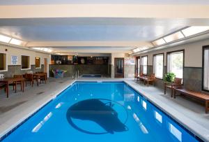 西黄石灰狼套房酒店的一座蓝色水的大型游泳池