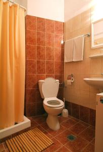 特尔斐赛比拉酒店的一间带卫生间和水槽的浴室