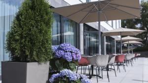 威斯巴登Holiday Inn Express - Wiesbaden, an IHG Hotel的一排桌椅,花朵紫色,雨伞
