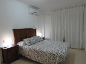 加鲁查Garrucha Apartment的一间卧室配有一张床、两个床头柜和两盏灯。