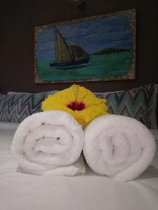 蓝海湾探索声望住宿加早餐旅馆的两条滚毛巾(放置在床上)