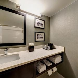 普林斯顿普林斯顿假日酒店&度假村的浴室配有盥洗盆、镜子和毛巾
